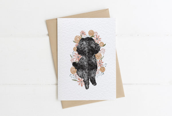 Poppy Poodle